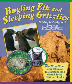 Bugling Elk and Sleeping Grizzlies de Shirley Craighead