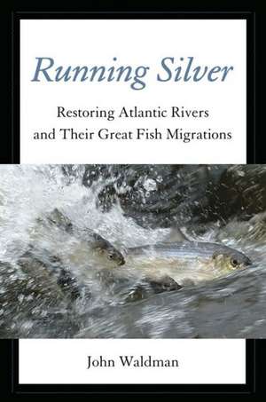 Running Silver: Restoring Atlantic Rivers and Their Great Fish Migrations de John Waldman