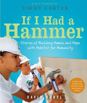 If I Had a Hammer: Stories of Building Homes and Hope with Habitat for Humanity de David Rubel