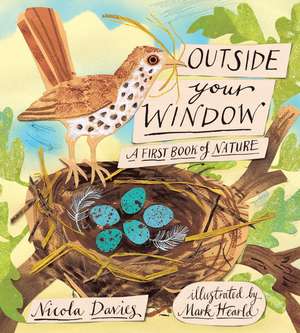 Outside Your Window: A First Book of Nature de Nicola Davies