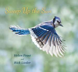 Sweep Up the Sun de Helen Frost