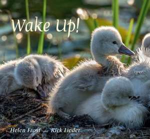 Wake Up! de Helen Frost