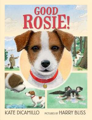 Good Rosie! de Kate DiCamillo