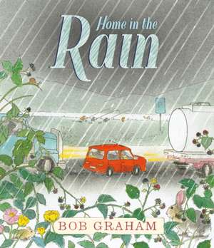 Home in the Rain de Bob Graham