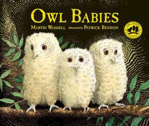 Owl Babies de Martin Waddell