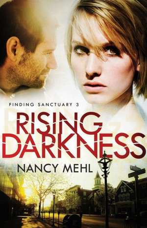 Rising Darkness de Nancy Mehl