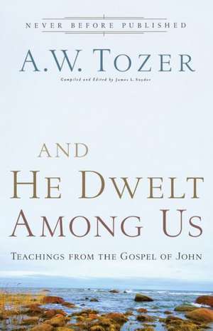 And He Dwelt Among Us – Teachings from the Gospel of John de A.w. Tozer