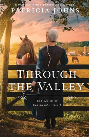 Through the Valley de Patricia Johns