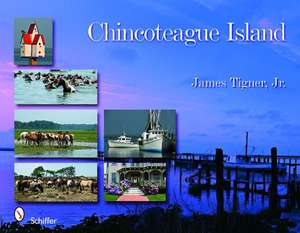 Chincoteague Island de James Tigner, Jr.