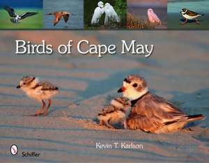 Birds of Cape May, New Jersey de Kevin T. Karlson