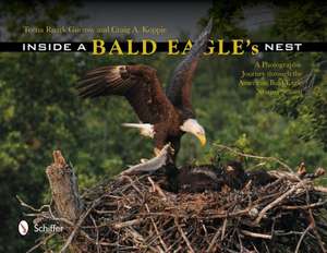 Inside a Bald Eagle's Nest: A Photographic Journey Through the American Bald Eagle Nesting Season de Teena Ruark Gorrow