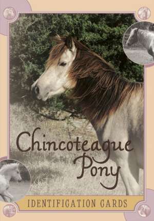 Chincoteague Pony Identification Cards, Set 2 de Lois Szymanski