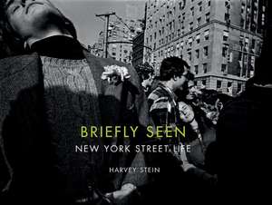 Briefly Seen - New York Street Life de Harvey Stein