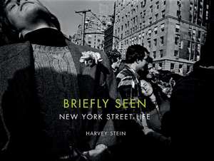 Briefly Seen de Harvey Stein