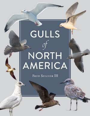 Gulls of North America de Fred Shaffer