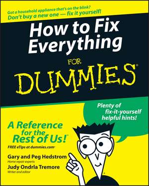 How to Fix Everything For Dummies de G Hedstrom