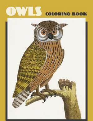 Owls Coloring Book de Pomegranate Communications, Inc