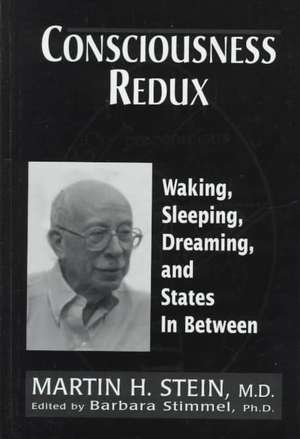 Consciousness Redux de Martin H. Stein