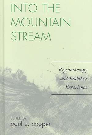 Into the Mountain Stream