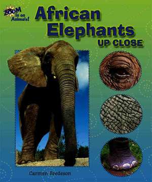 African Elephants Up Close de Carmen Bredeson