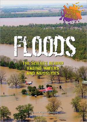 Floods: The Science Behind Raging Waters and Mudslides de Alvin Silverstein