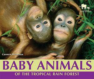 Baby Animals of the Tropical Rain Forest de Carmen Bredeson