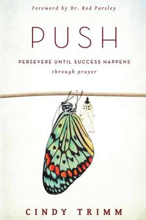 Push: Persevere Until Success Happens Through Prayer de Cindy Trimm