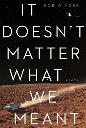 It Doesn't Matter What We Meant: Poems de Rob Winger