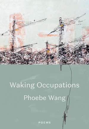 Walking Occupations de Phoebe Wang