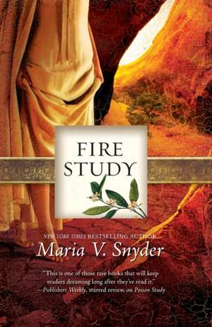 Fire Study (Original) de Maria V Snyder