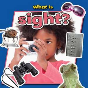What Is Sight? de Molly Aloian