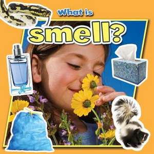 What Is Smell? de Molly Aloian