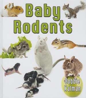 Baby Rodents de Bobbie Kalman