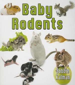 Baby Rodents de Bobbie Kalman