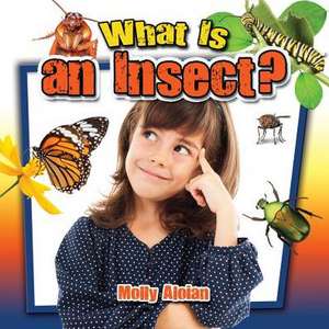 What Is an Insect? de Molly Aloian