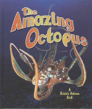 The Amazing Octopus de Bobbie Kalman