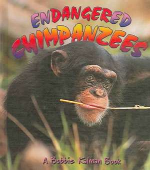 Endangered Chimpanzees de Bobbie Kalman