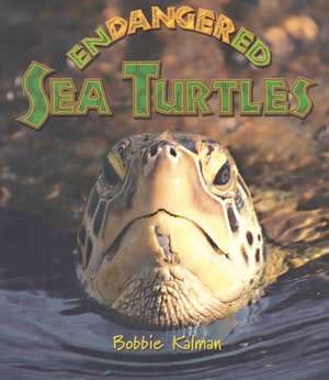 Endangered Sea Turtles de Bobbie Kalman