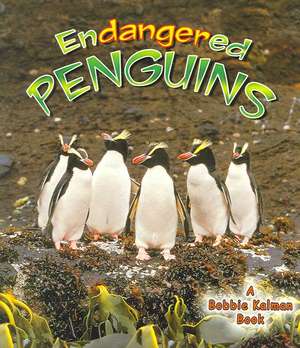 Endangered Penguins de Bobbie Kalman