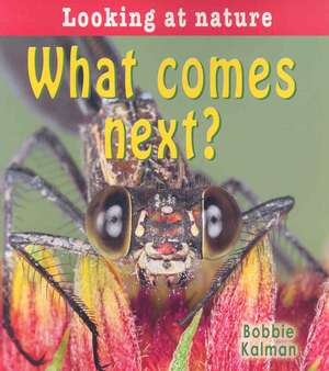 What Comes Next? de Bobbie Kalman