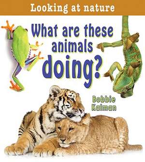 What Are These Animals Doing? de Bobbie Kalman