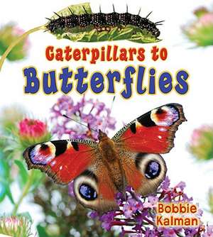 Caterpillars to Butterflies de Bobbie Kalman