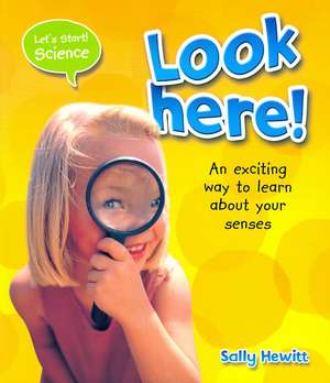 Look Here! de Sally Hewitt