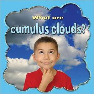 What Are Cumulus Clouds? de Lynn Peppas