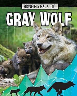 Bringing Back the Gray Wolf de Cynthia O'Brien