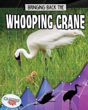 Bringing Back the Whooping Crane de Rachel Stuckey