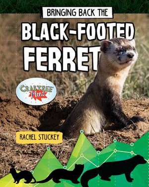 Bringing Back the Black-Footed Ferret de Rachel Stuckey