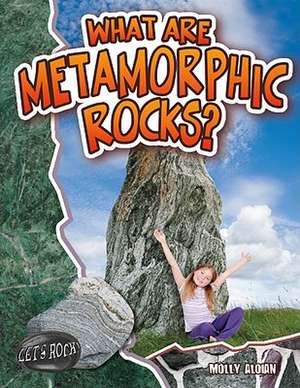 What Are Metamorphic Rocks? de Molly Aloian