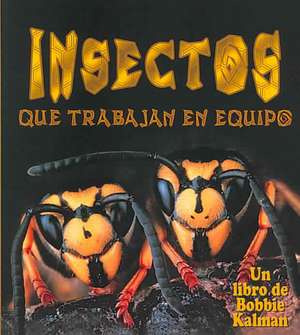 Insectos Que Trabajan en Equipo = Insects That Work Together de Molly Aloian