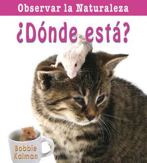 Donde Esta? = Where Is It? de Bobbie Kalman